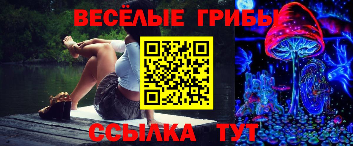 Галлюциногенные грибы GOLDEN TEACHER  Вход с VPN  Санкт-Петербург 